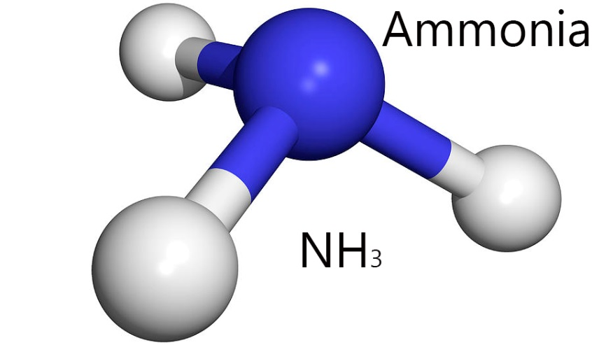 amoni trong môi trường nước