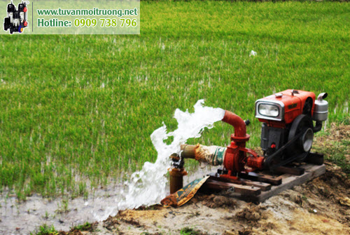 Hoạt động với hiệu xuất xử lý nước cao, máy bơm nước đồng ruộng nhanh chóng trở thành người bạn thân thiết của nhà nông
